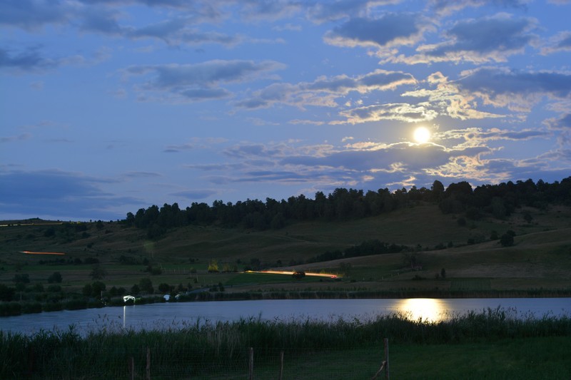 DSC_4167.jpg