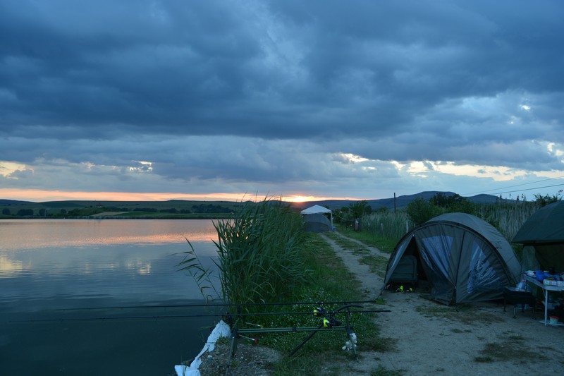 DSC_4532.jpg