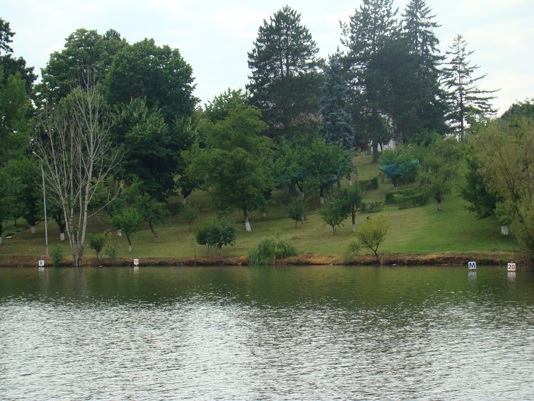 DSC06045 (Copy).JPG