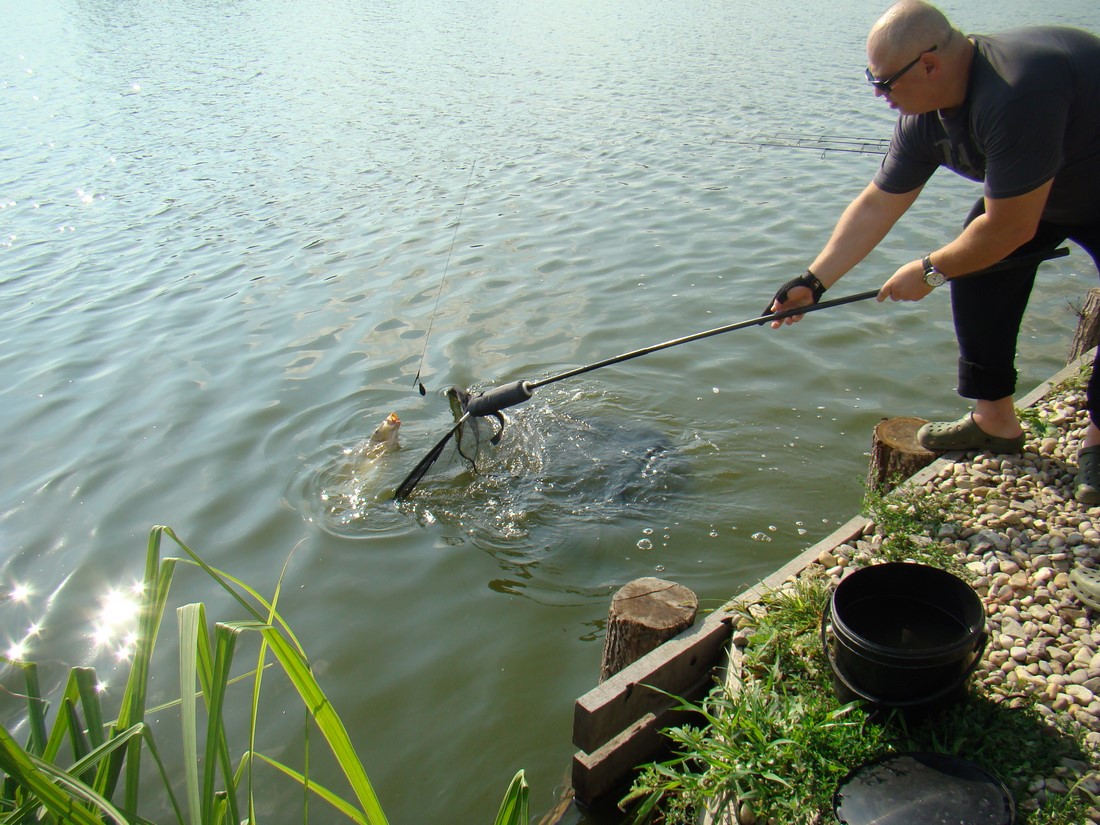 DSC06118 (Copy).JPG