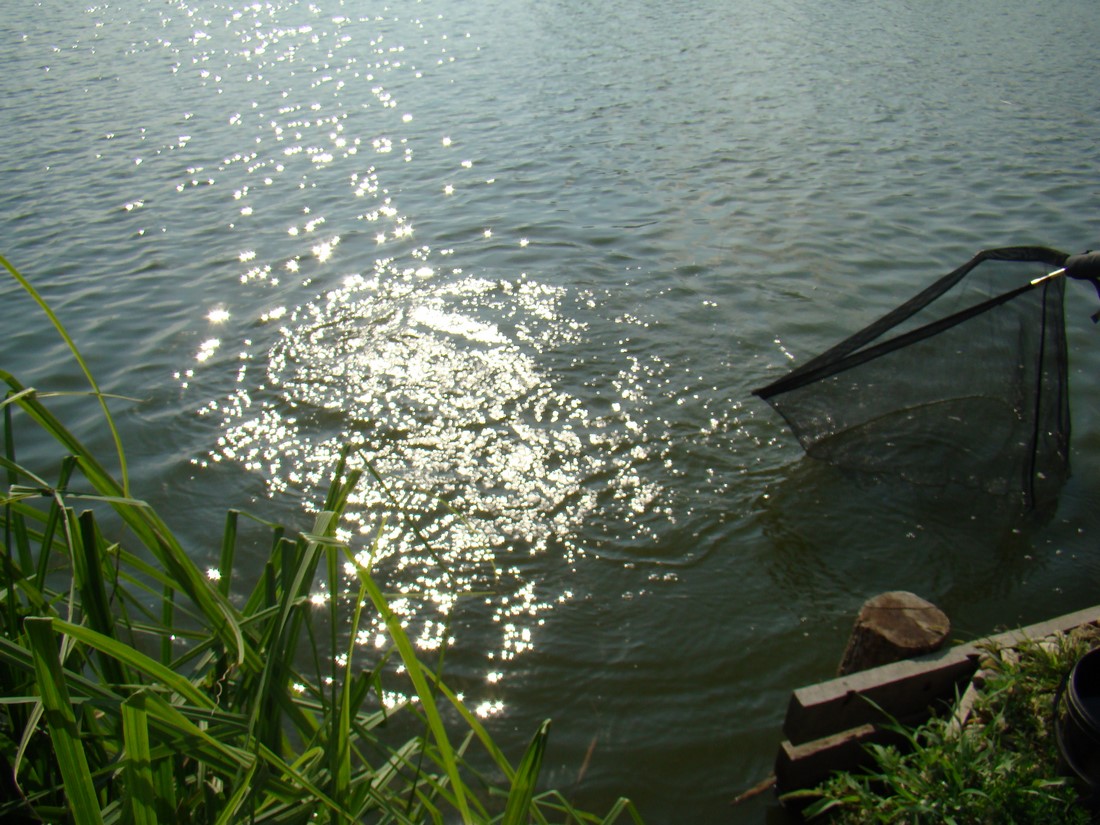 DSC06116 (Copy).JPG