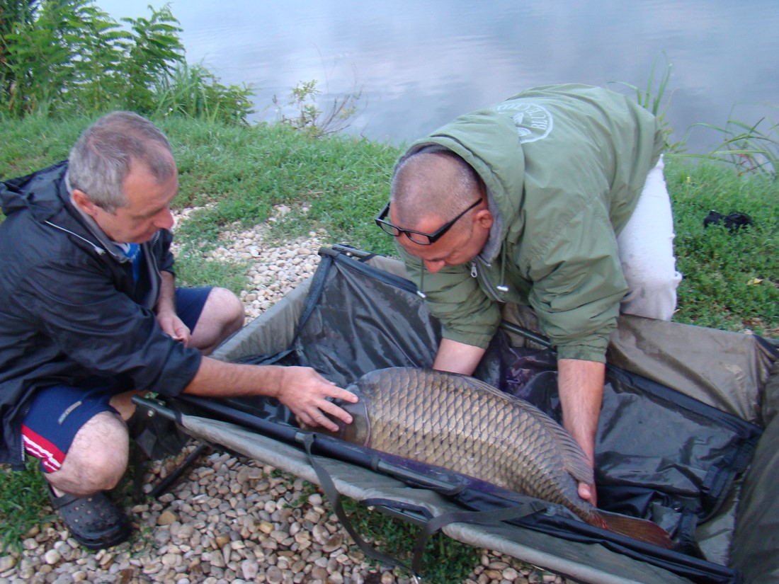 DSC06321 (Copy).JPG