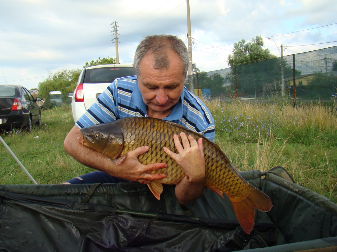 DSC06331 (Copy).JPG