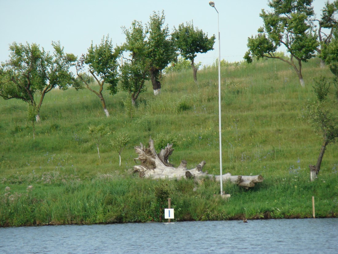 DSC06416 (Copy).JPG