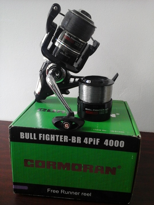 bull1.jpg