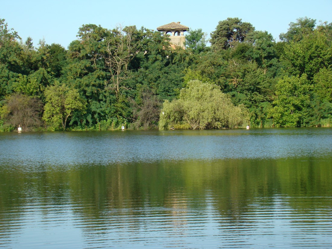 DSC06837 (Copy).JPG