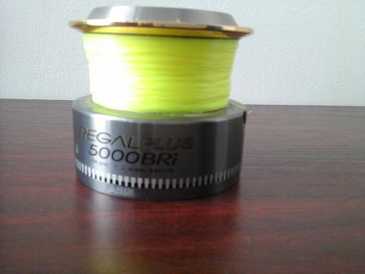 tambur daiwa.JPG