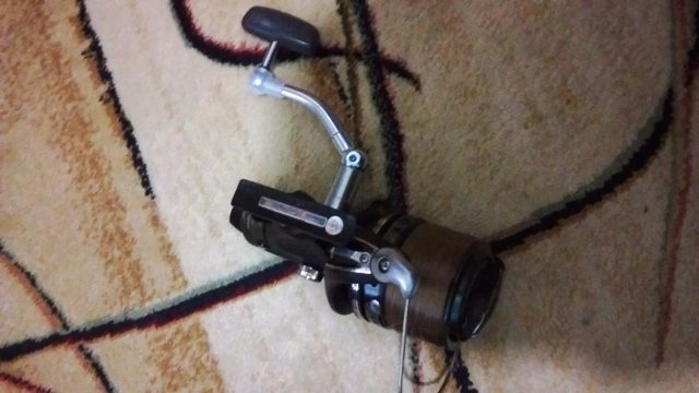 11710015_1476881679290244_3511403249602608354_o (1).jpg