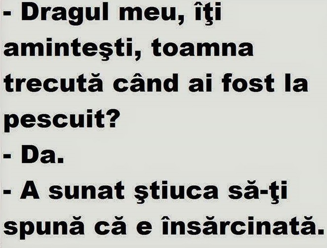 stiuca.jpg