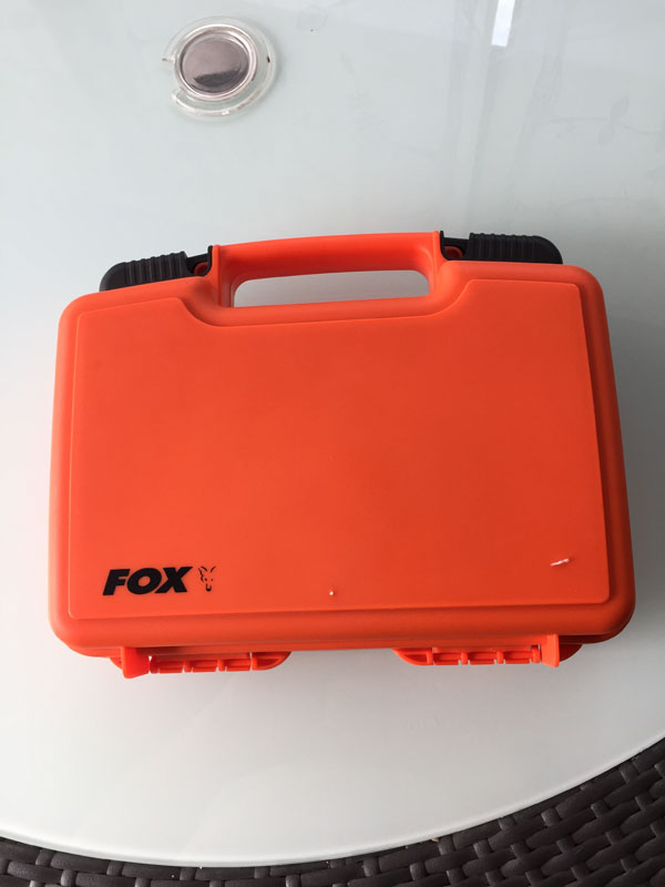 fox1.jpg