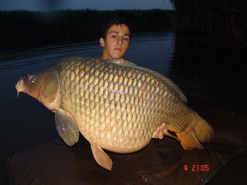 octav 20 kg.JPG