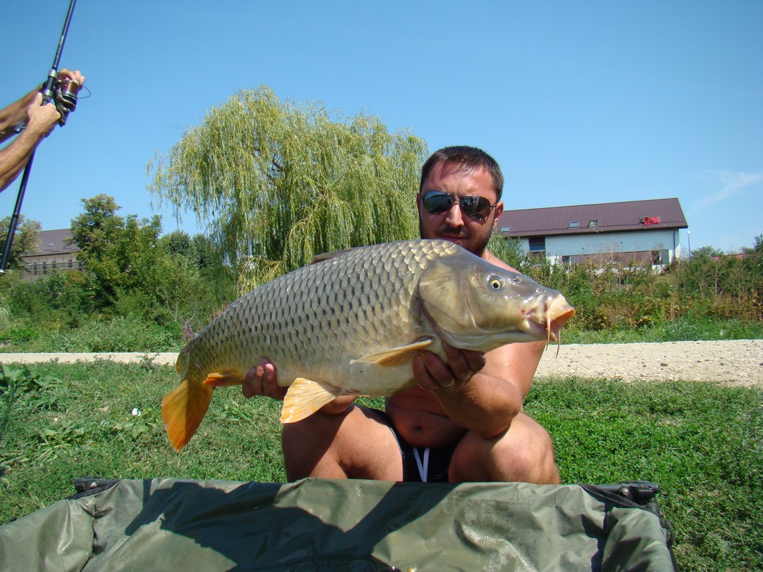DSC07660 (Copy).JPG