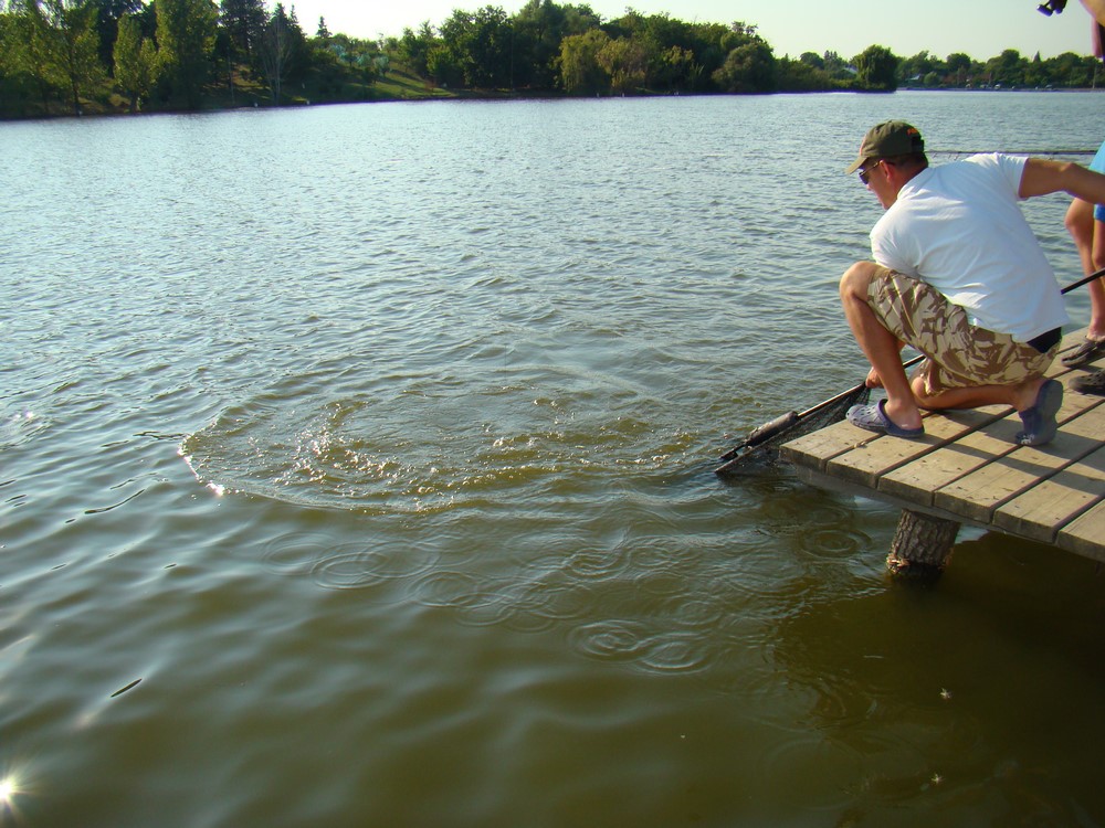 DSC07707 (Copy).JPG