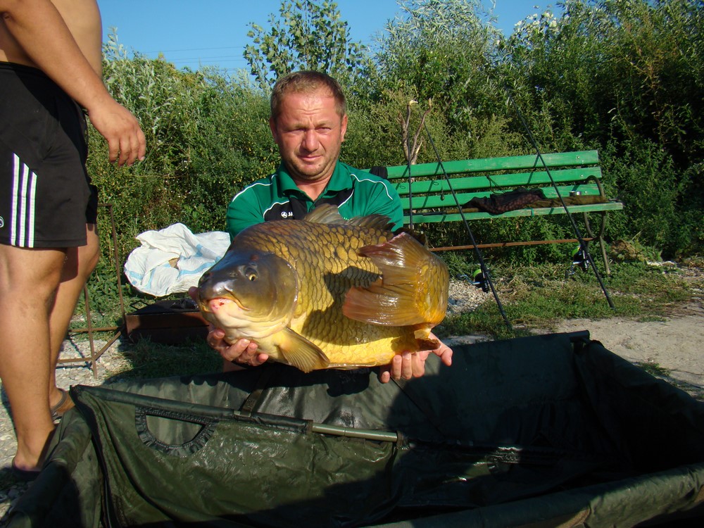 DSC07714 (Copy).JPG