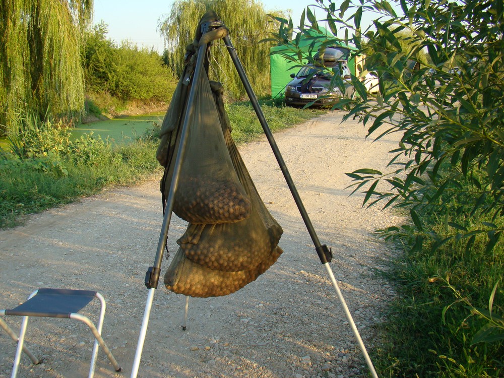 DSC07776 (Copy).JPG