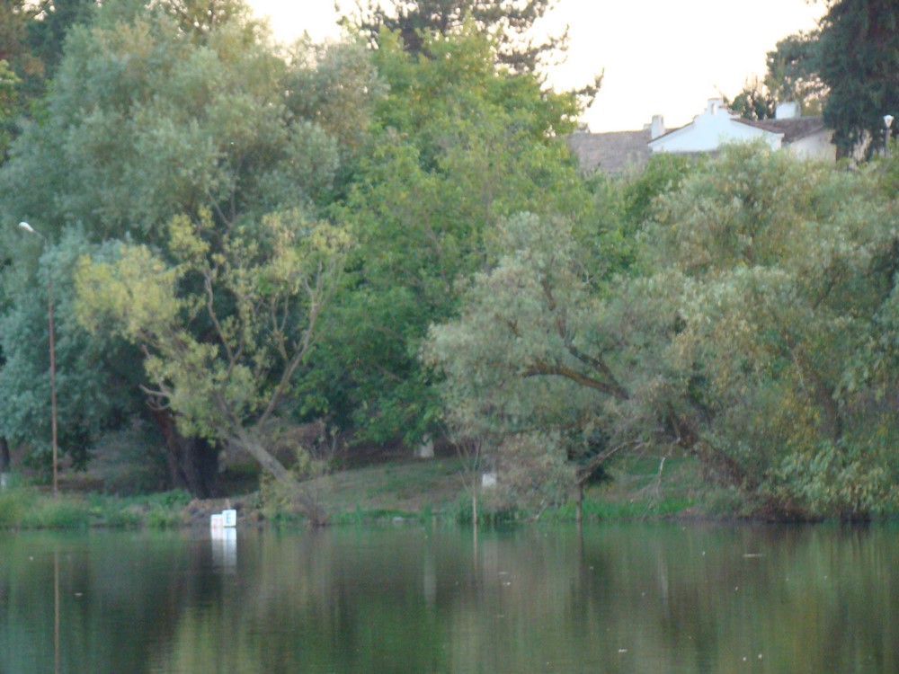 DSC07805 (Copy).JPG