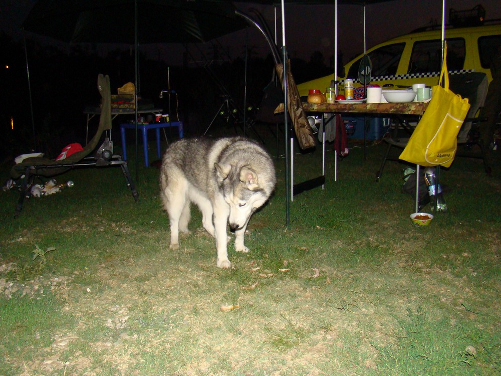DSC07853 (Copy).JPG