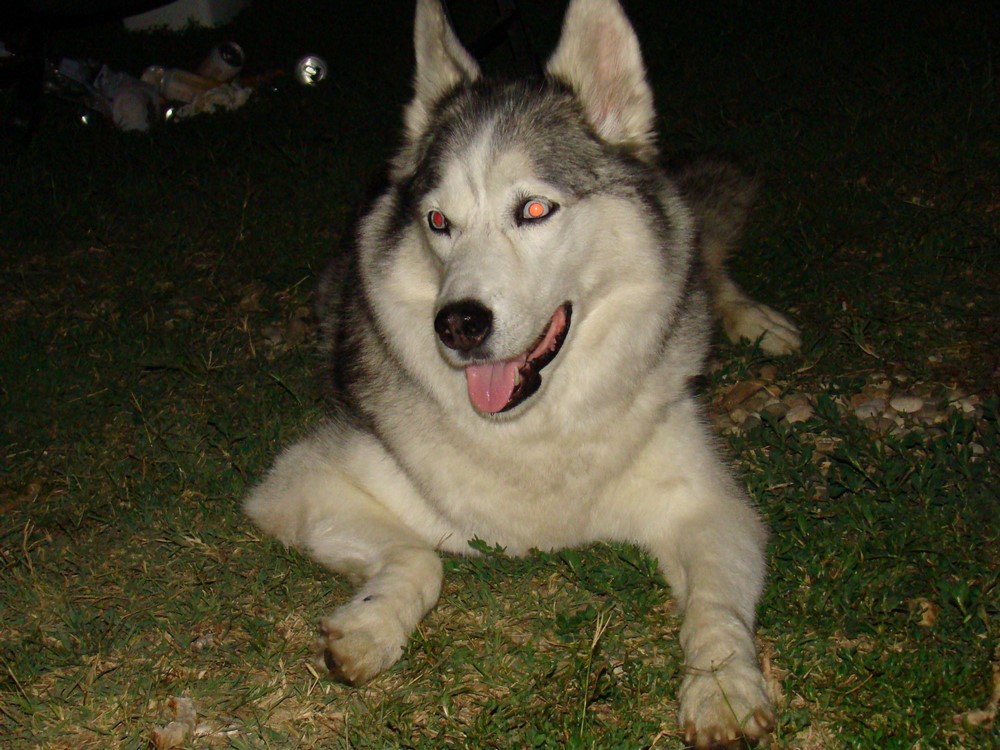 DSC07871 (Copy).JPG