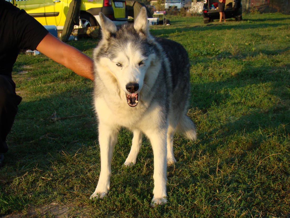 DSC07918 (Copy).JPG