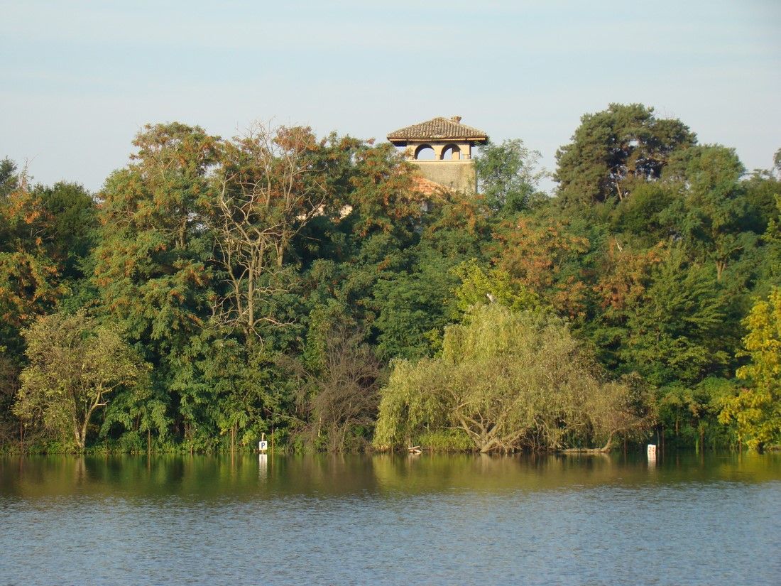DSC07935 (Copy).JPG