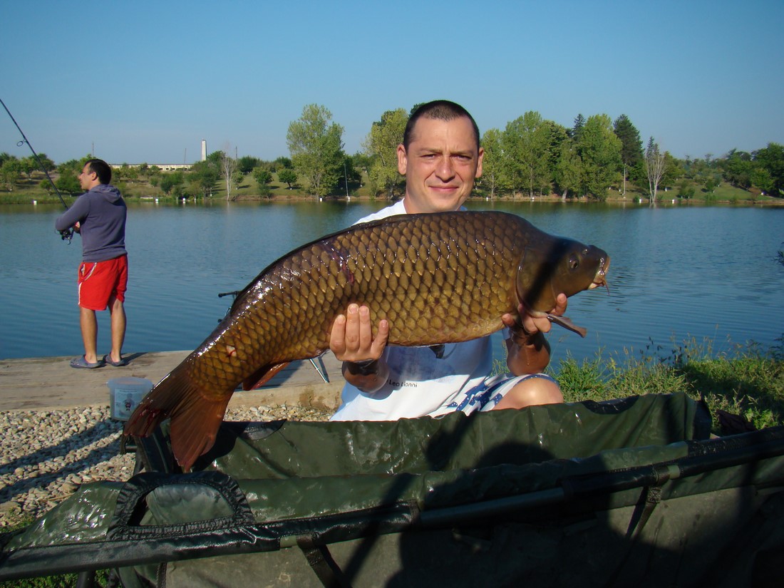 DSC07996 (Copy).JPG