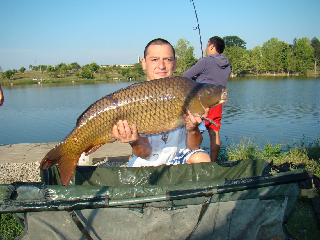 DSC07993 (Copy).JPG