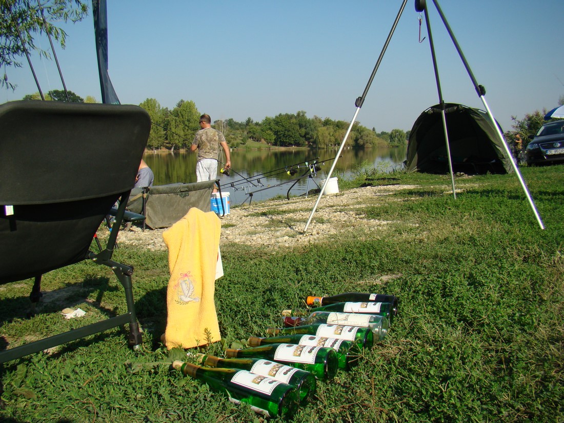 DSC08010 (Copy).JPG