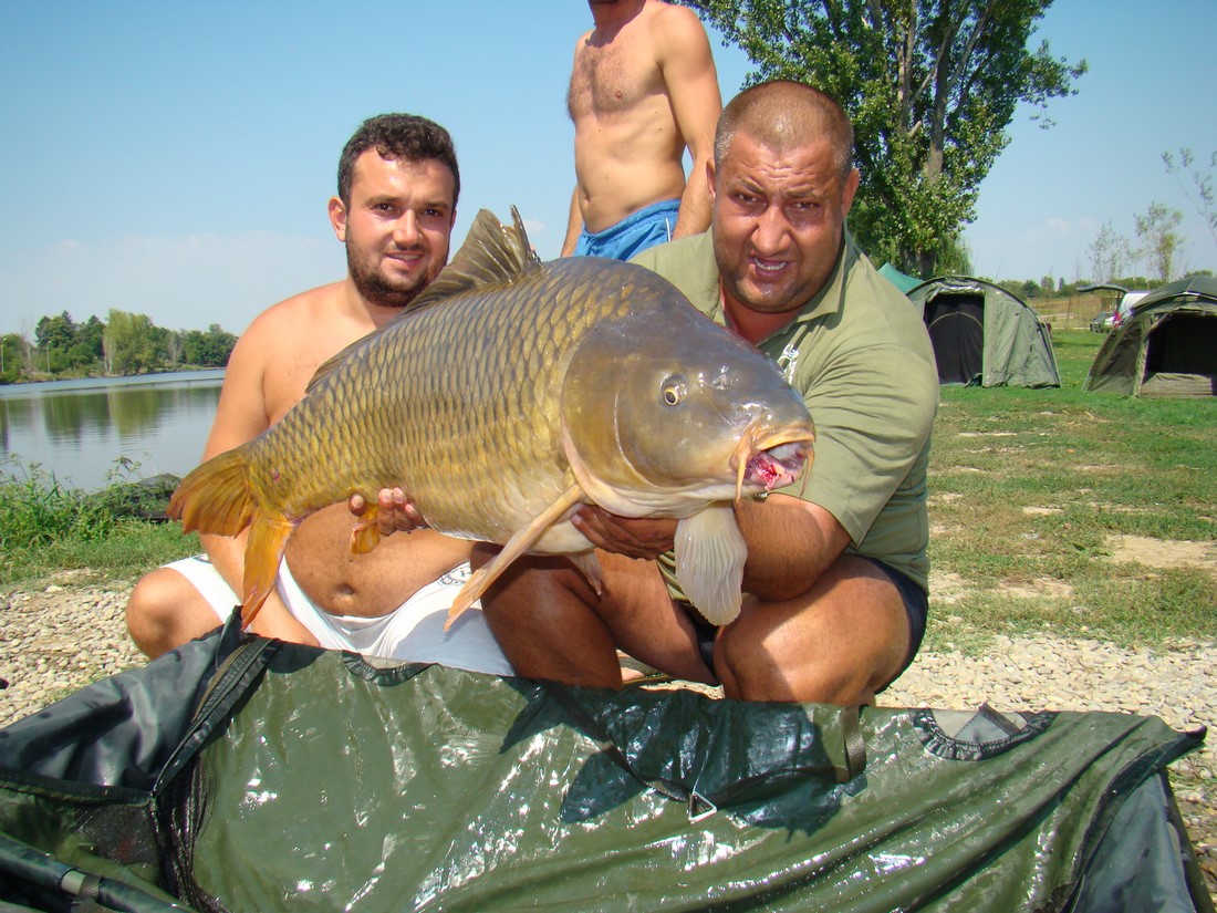 DSC08151 (Copy).JPG