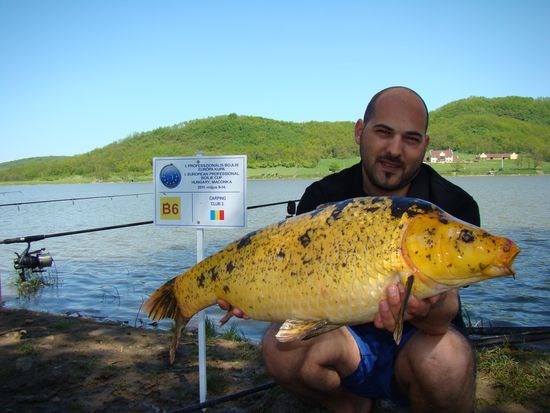 06.JPG