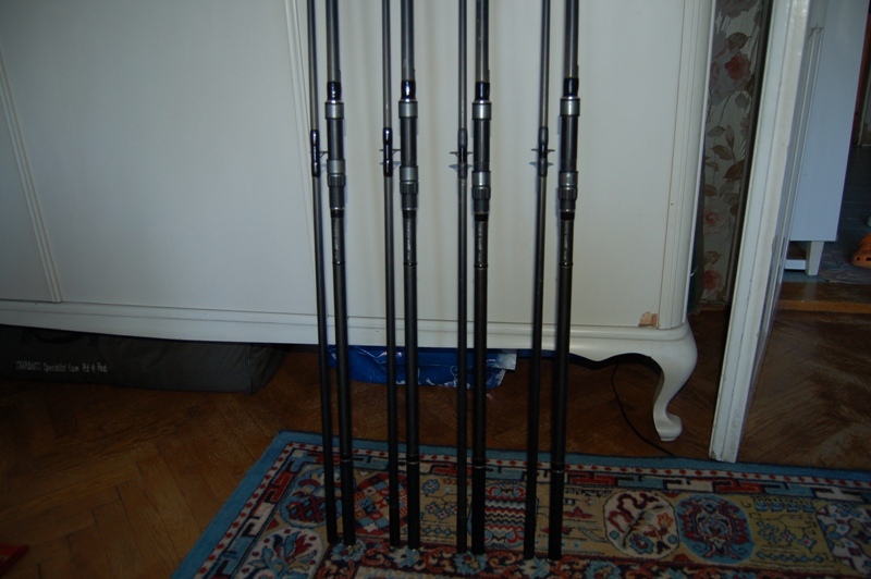 poze chub6.JPG