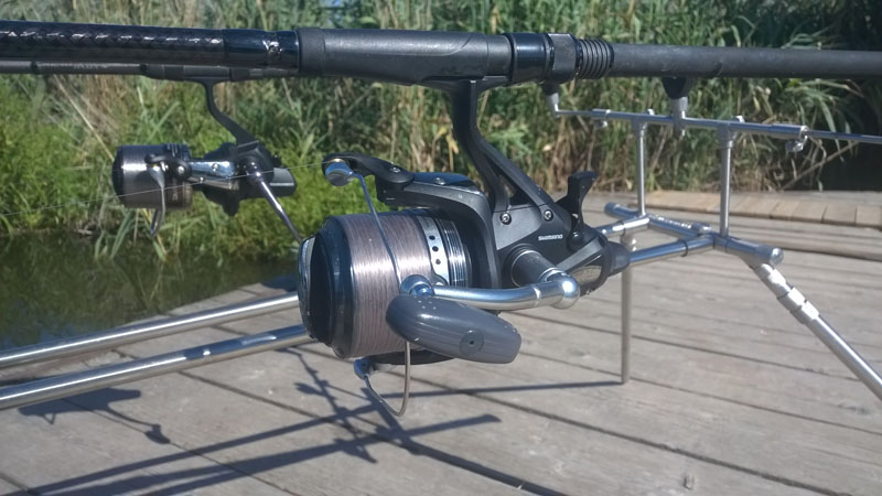 WP_20150902_003.jpg