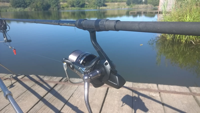 WP_20150902_007.jpg