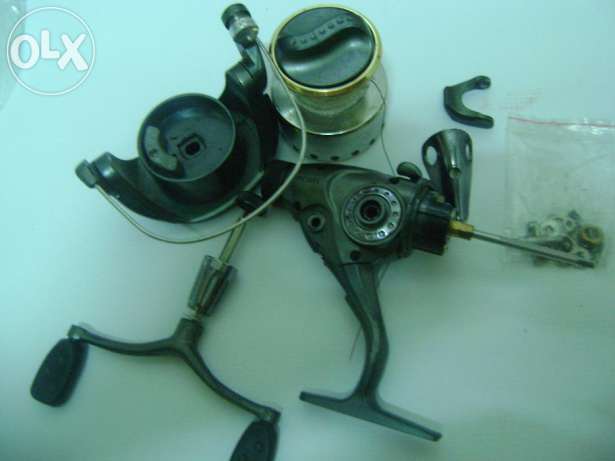 mulineta shakespeare