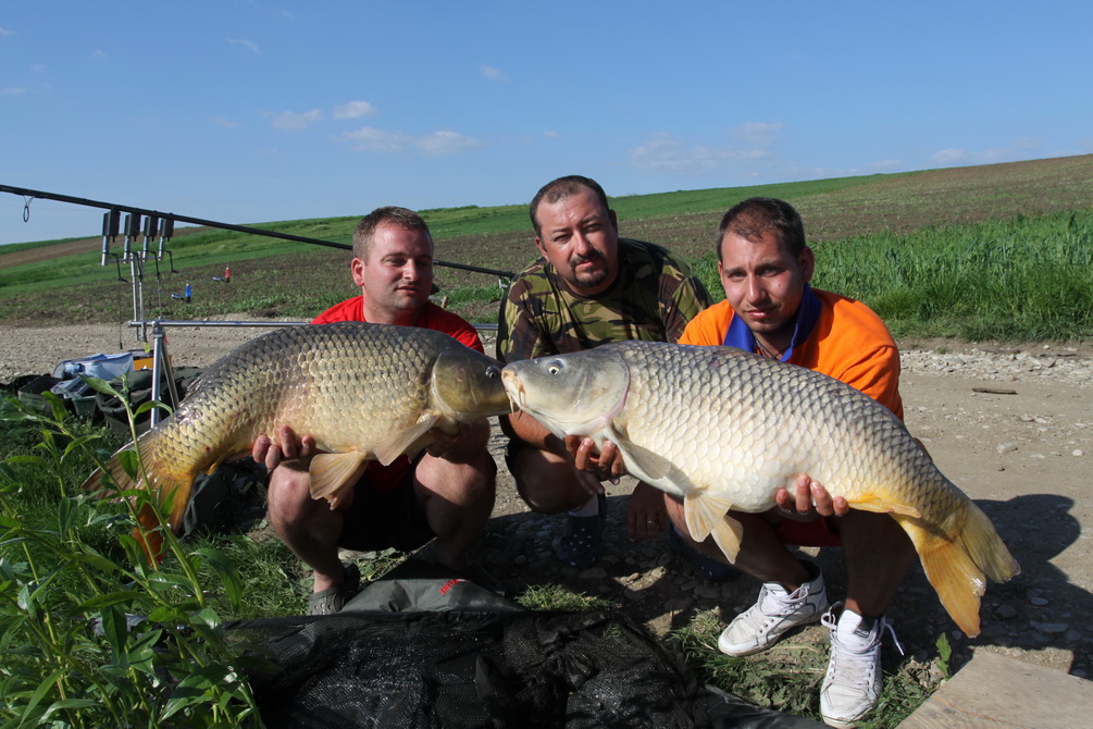 Magura 9 - 18 mai_14.jpg