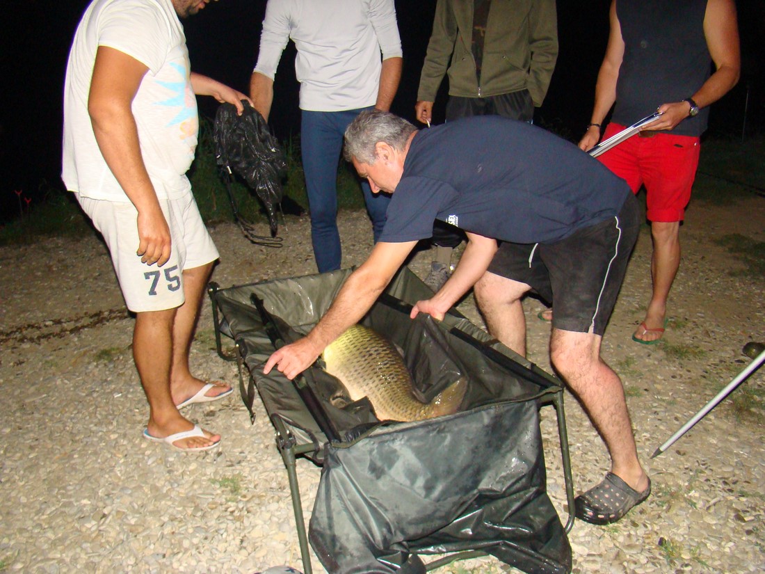 DSC08356 (Copy).JPG