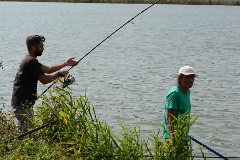 DSC_1288.jpg