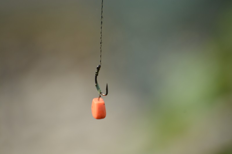DSC_1303.jpg