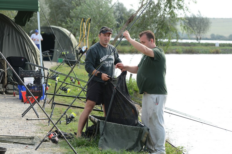 DSC_1437.jpg