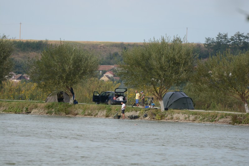 DSC_1445.jpg