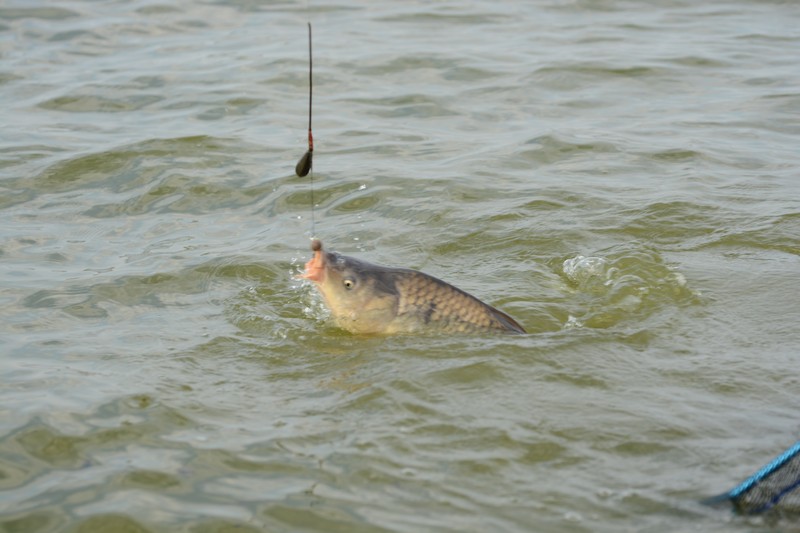 DSC_1453.jpg