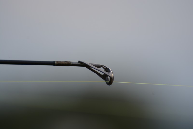 DSC_1526.jpg