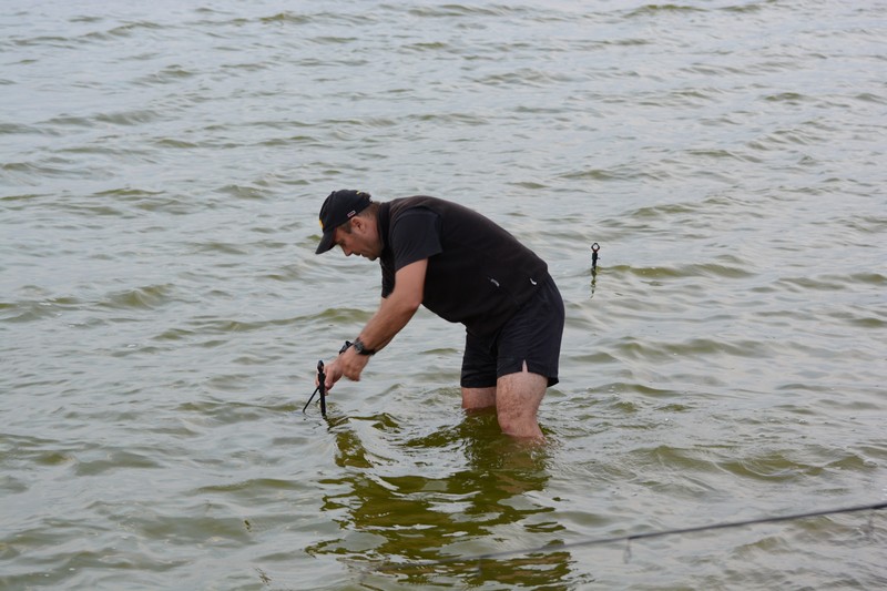 DSC_1557.jpg
