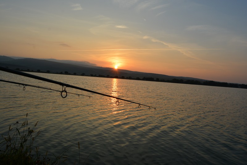 DSC_1592.jpg