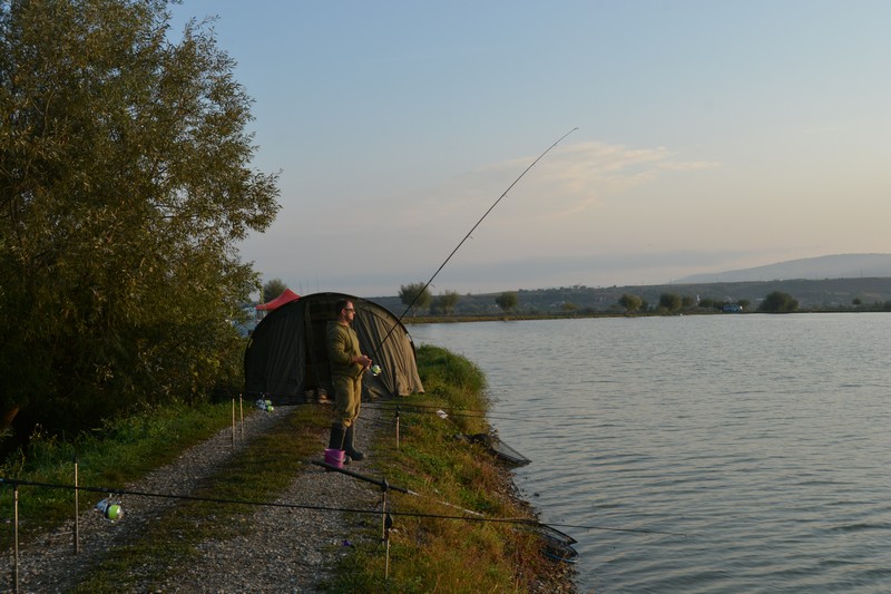 DSC_1596.jpg