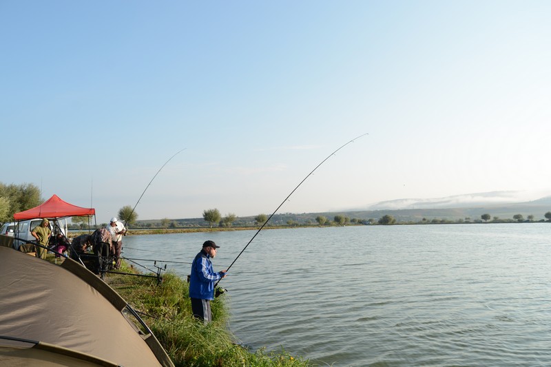 DSC_1609.jpg
