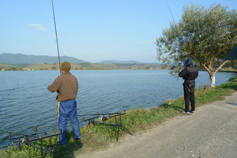 DSC_1610.jpg