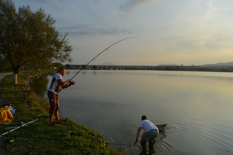 DSC_1818.jpg