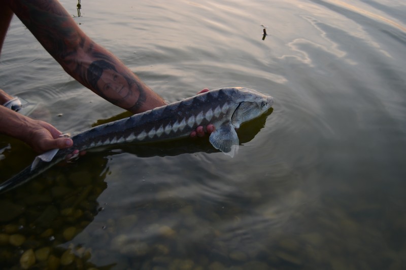 DSC_1830.jpg