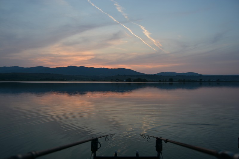 DSC_1843.jpg