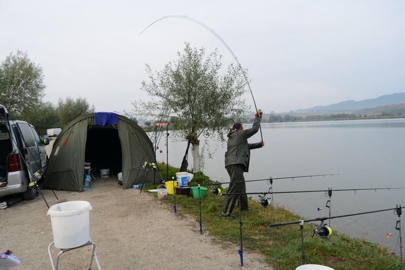 DSC_1892.jpg